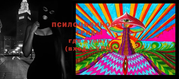 гашик Приозерск